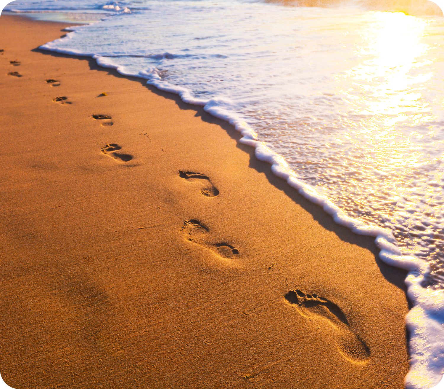 shutterstock_116505001